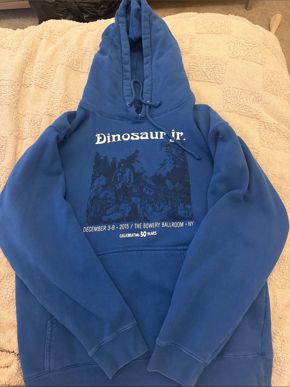 Blue Graphic Pullover Hoodie dinosaur jr